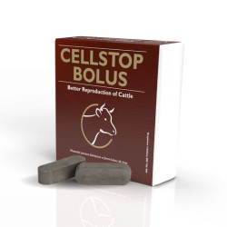 Cellstop bolus 10szt