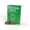 LACTOSPEED BOLUS 10SZT