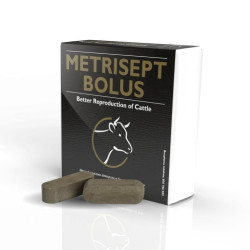 METRISEPT BOLUS PUDEŁKO 10SZT